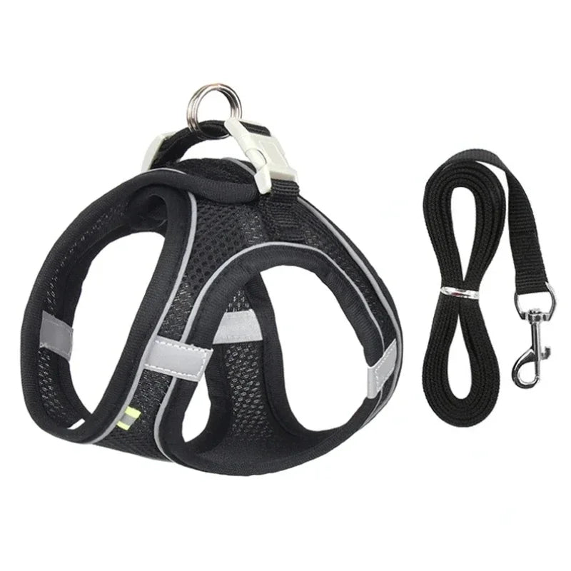Versatile Dog Harness for All Breeds