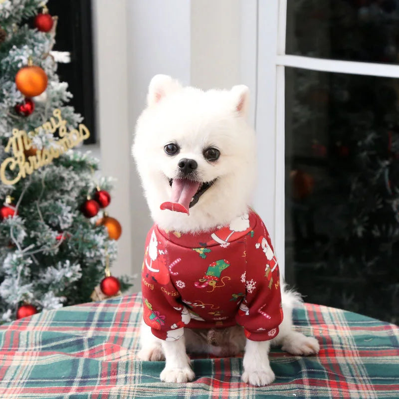 Winter Festive Dog Outfit