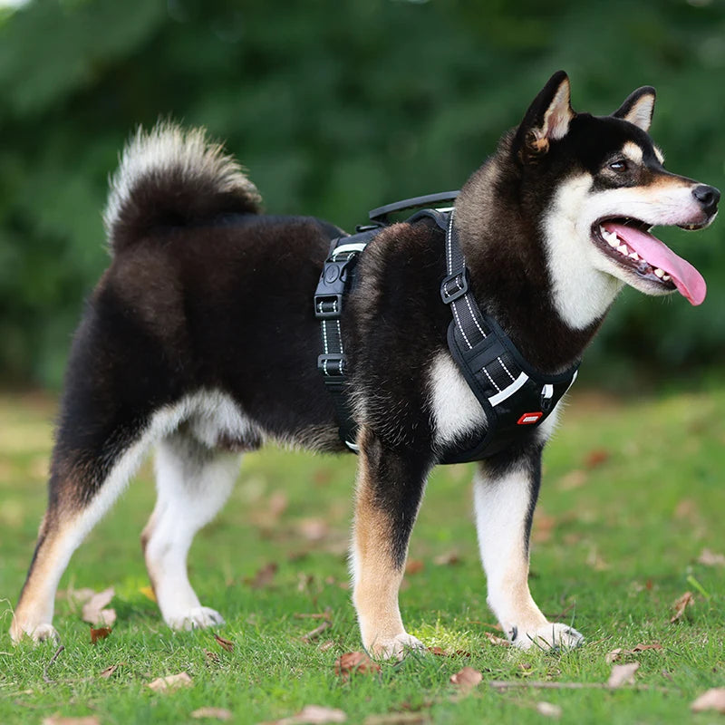 Reflective Dog Harness for Safe Walks