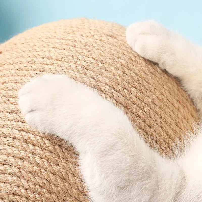 Interactive Cat Ball Toy