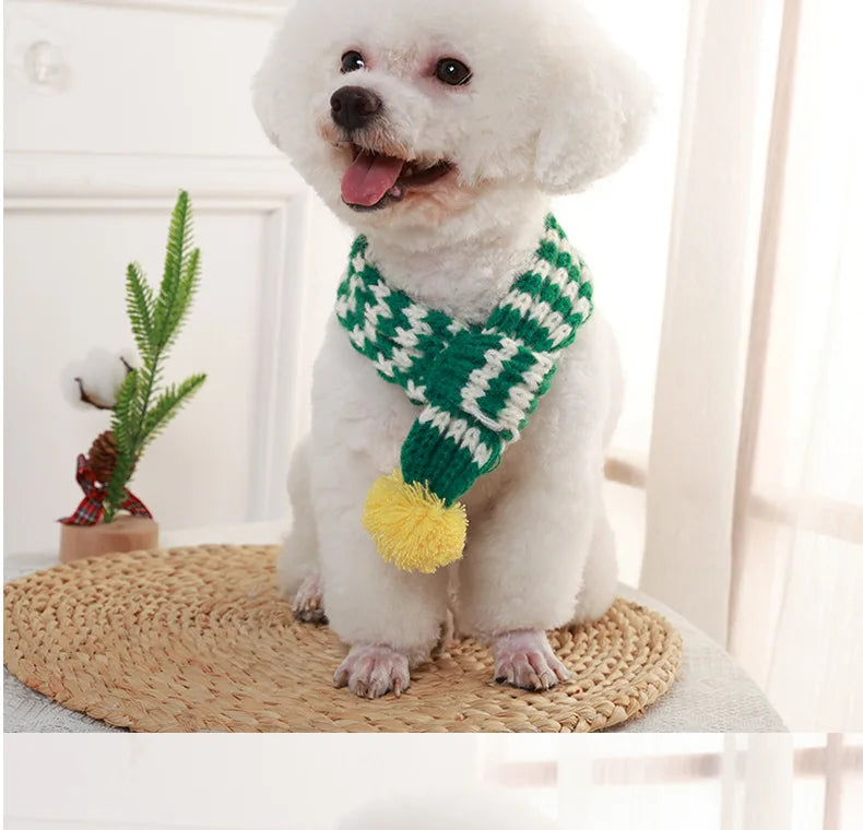 Cozy Winter Pet Scarf