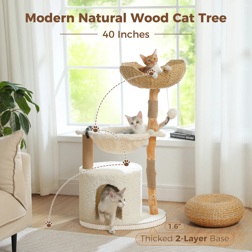 Stylish Cat Tree with Hammock