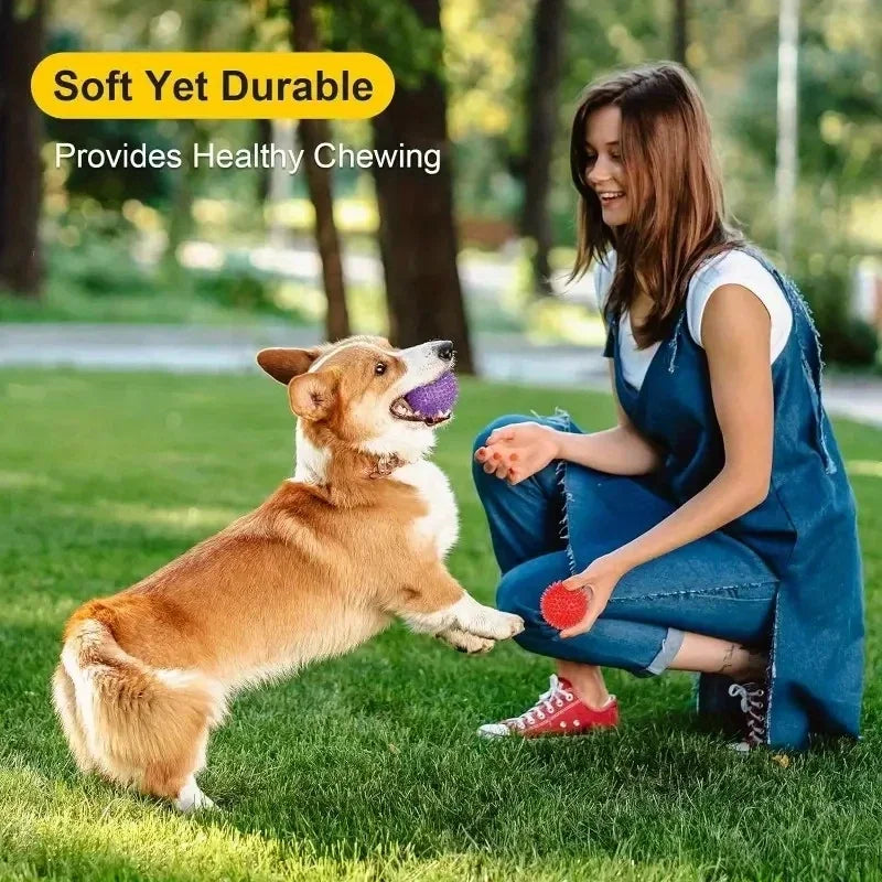 Durable Squeaky Dog Toys