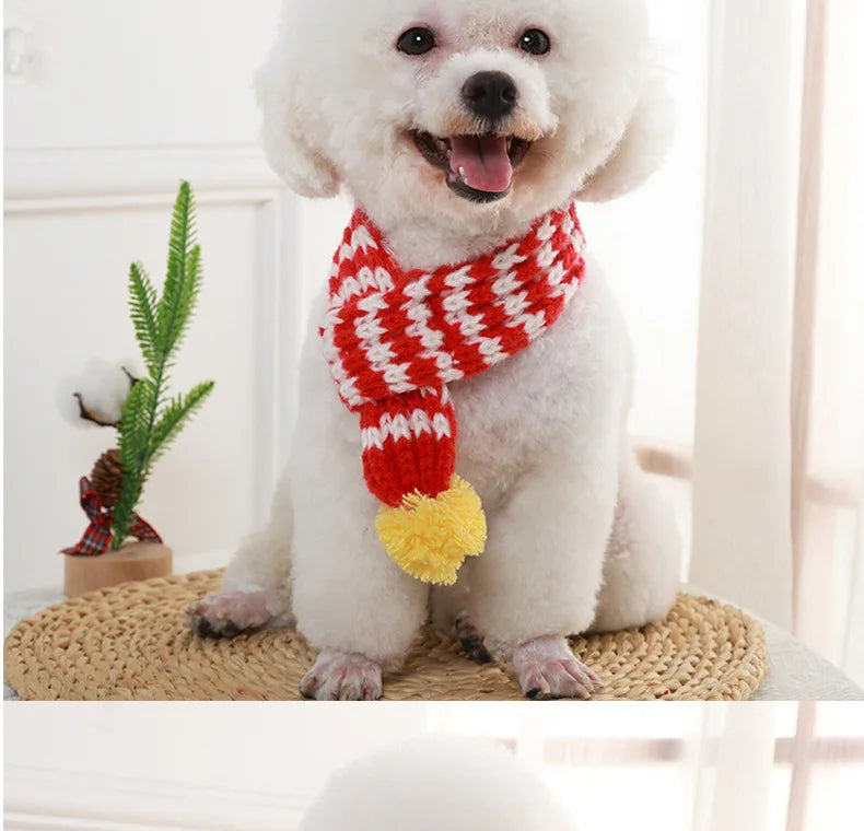 Cozy Winter Pet Scarf
