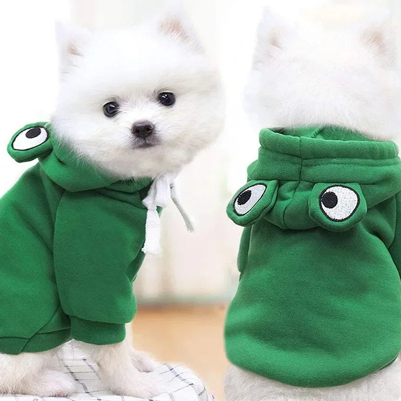 Adorable Frog Hoodie for Pets