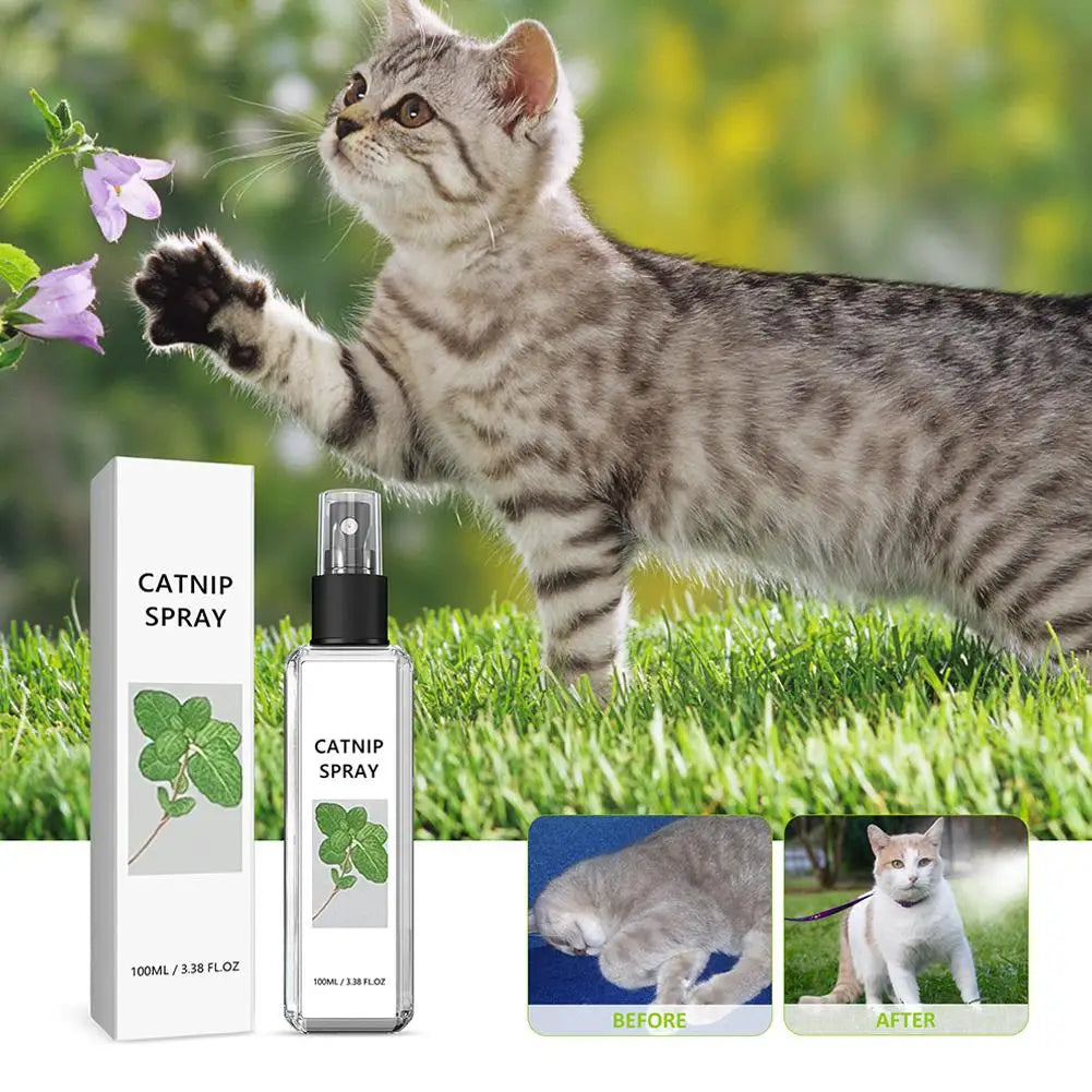 Calming Cat Mint Spray