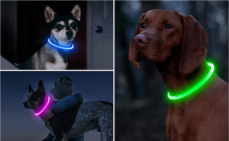 Glow in the Dark Dog Collar