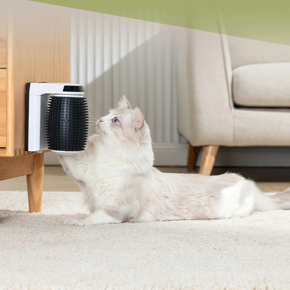 Interactive Cat Grooming Toy
