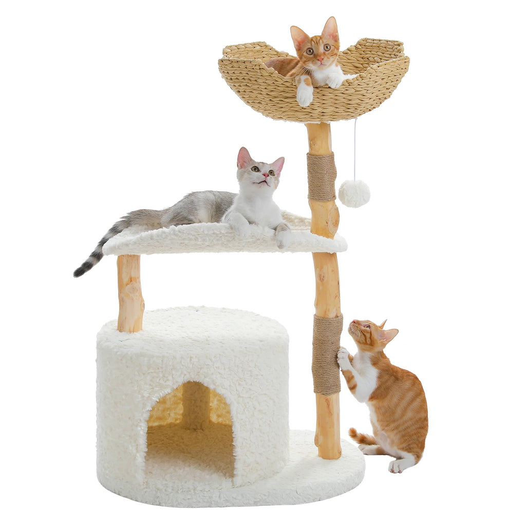Stylish Cat Tree with Hammock