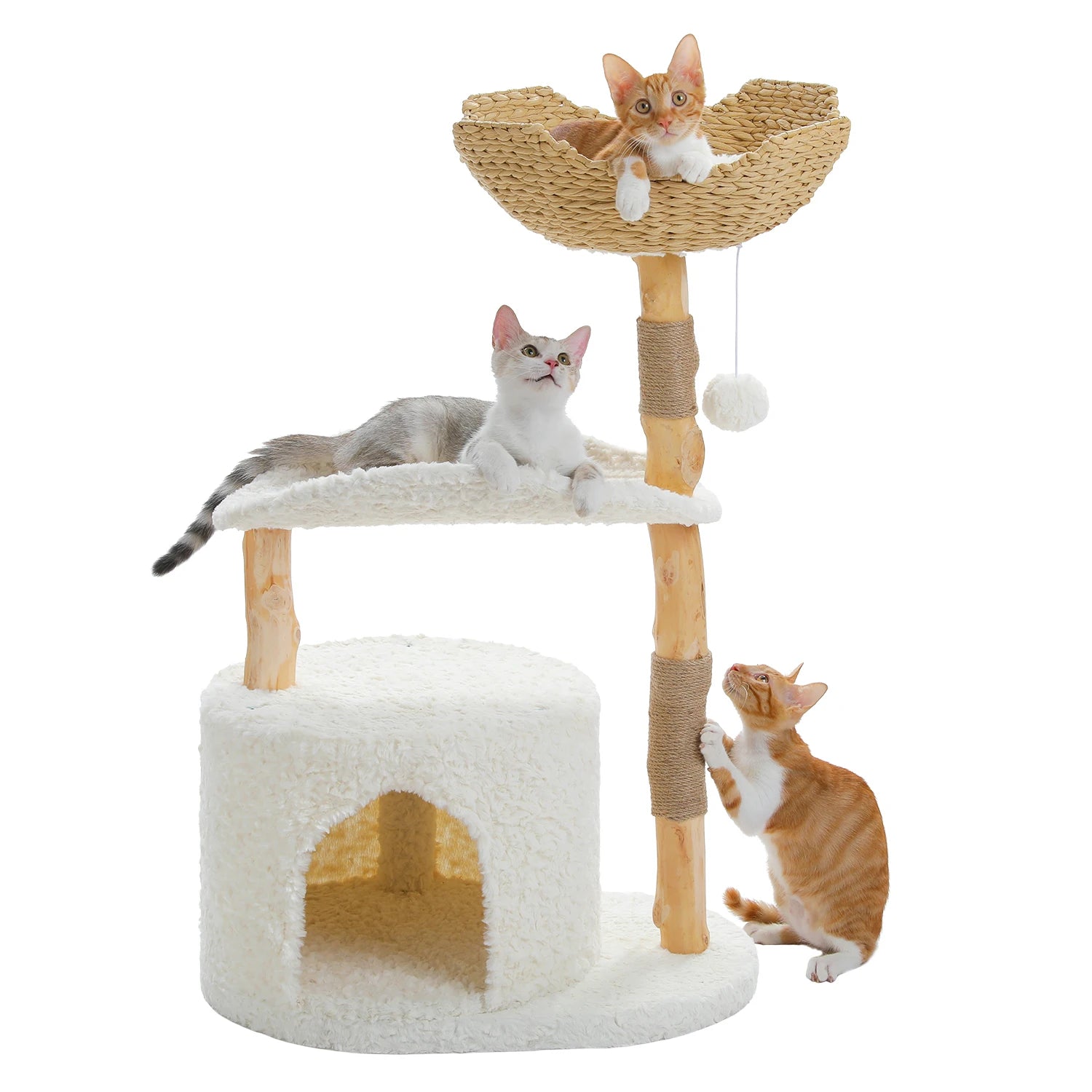 Stylish Cat Tree with Hammock