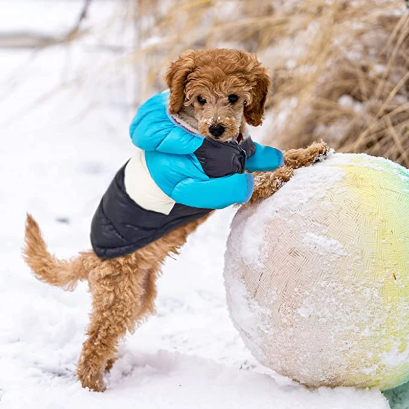 Cozy Waterproof Dog Winter Jacket