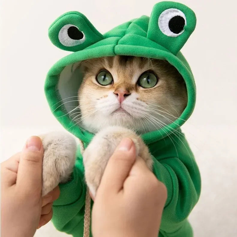 Adorable Frog Hoodie for Pets
