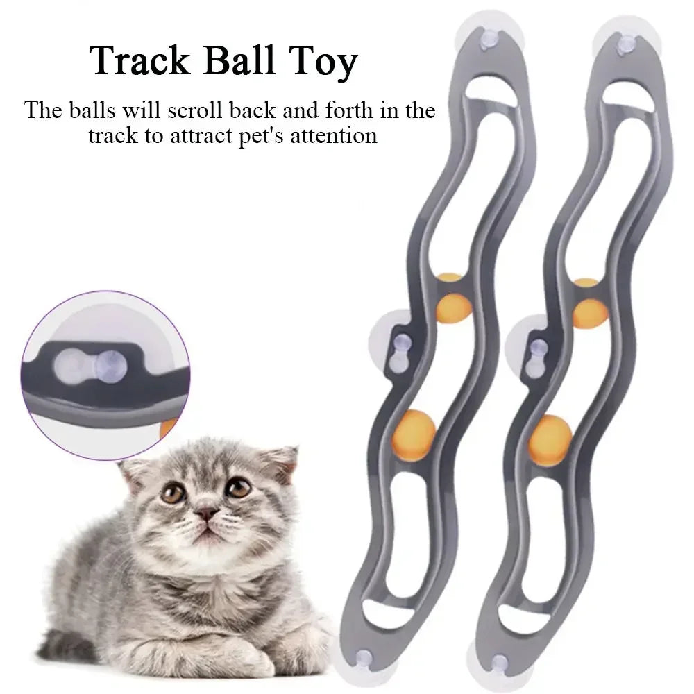 Fun Window Cat Track Toy