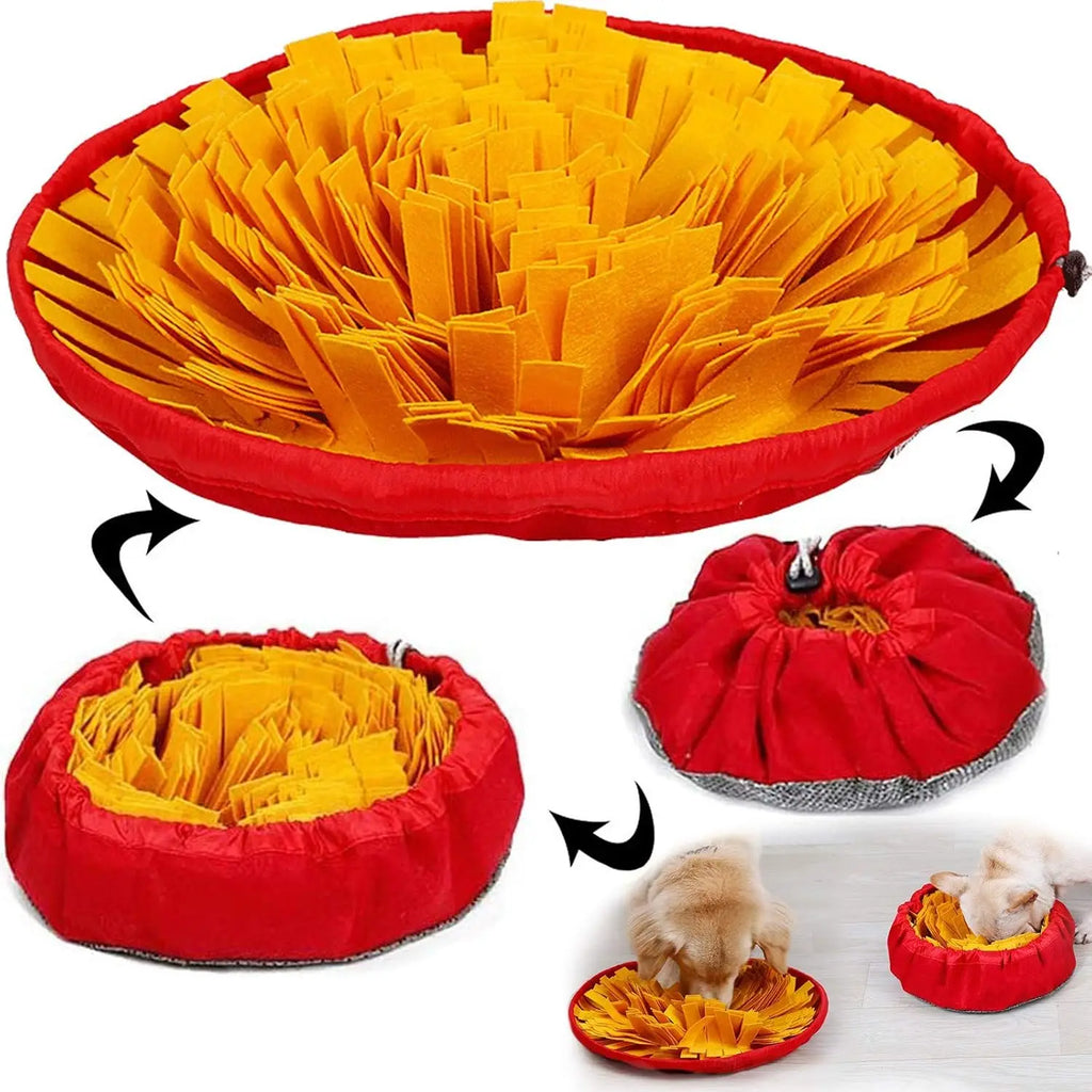 Interactive Snuffle Mat Fun