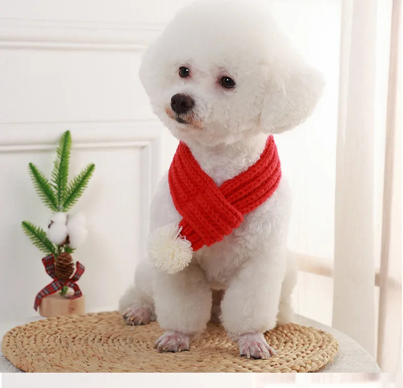 Cozy Winter Pet Scarf