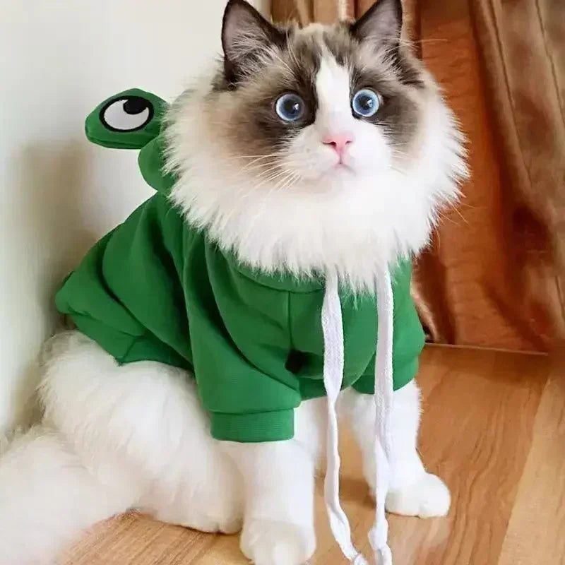 Adorable Frog Hoodie for Pets