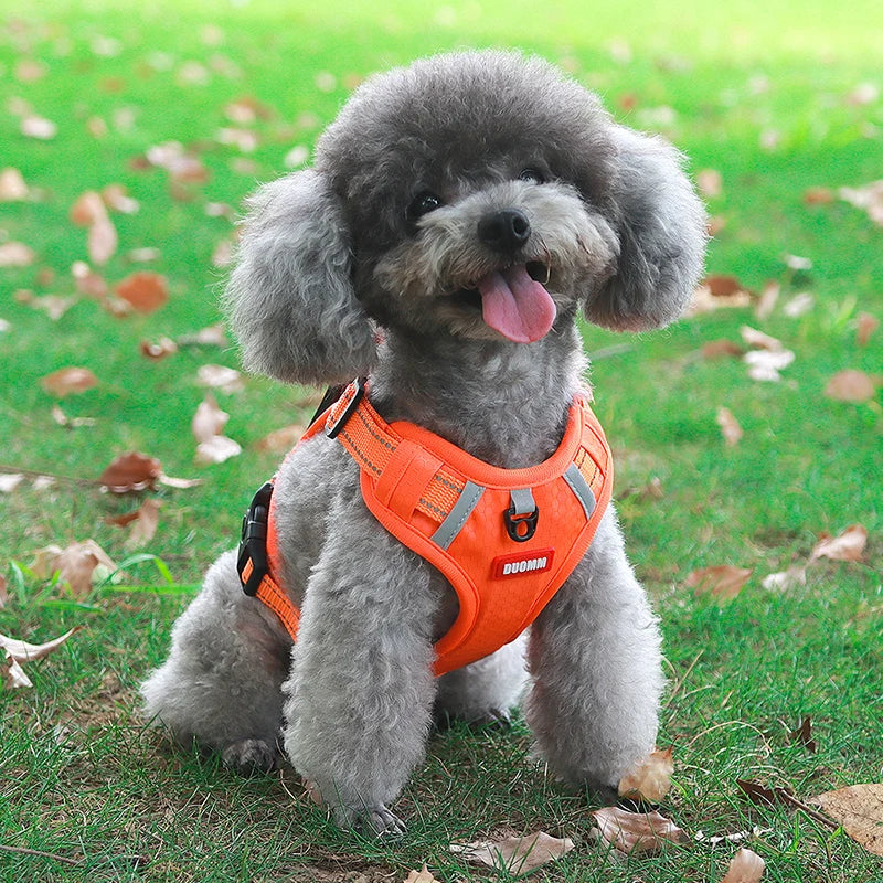 Reflective Dog Harness for Safe Walks