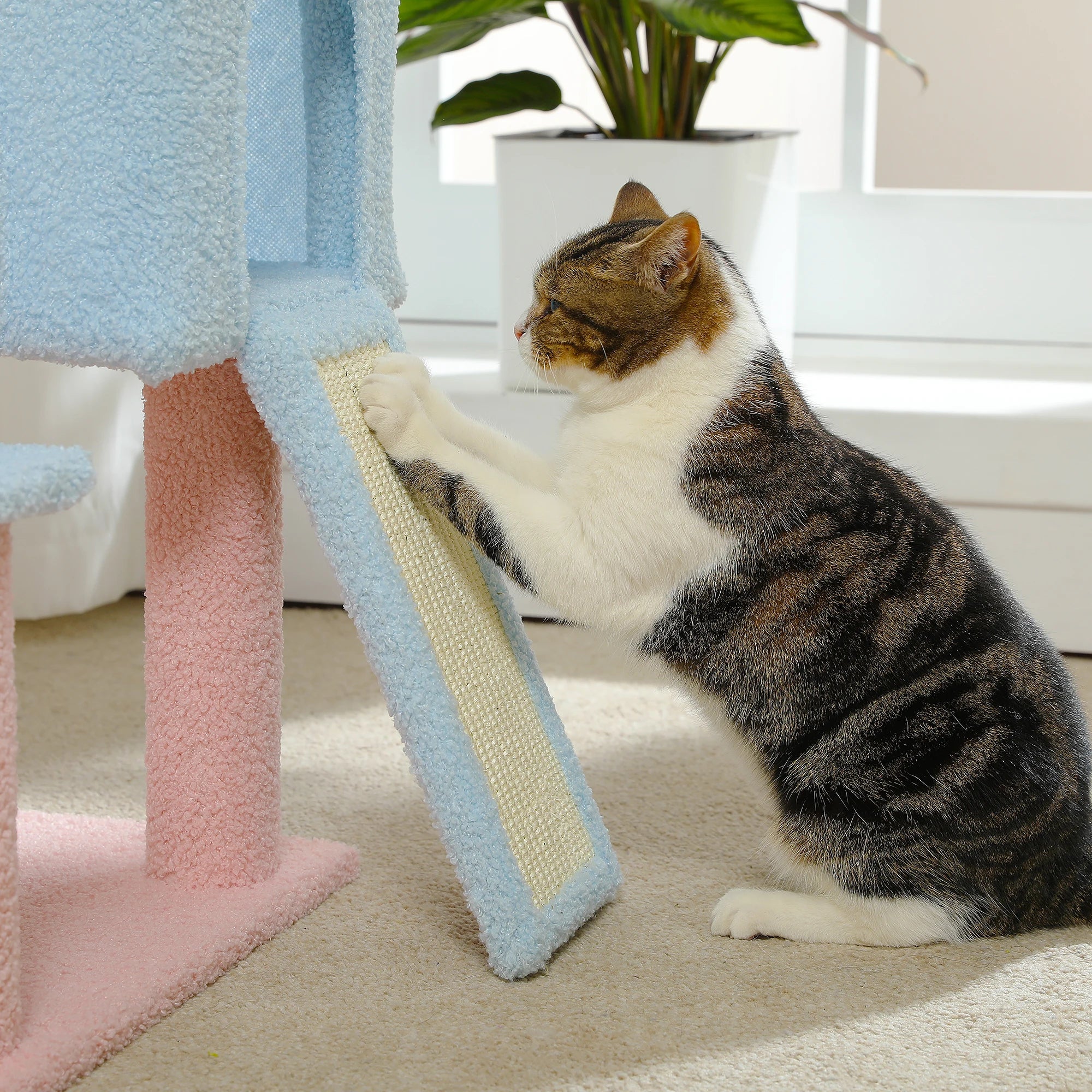 Cute Multi-Level Cat Tree