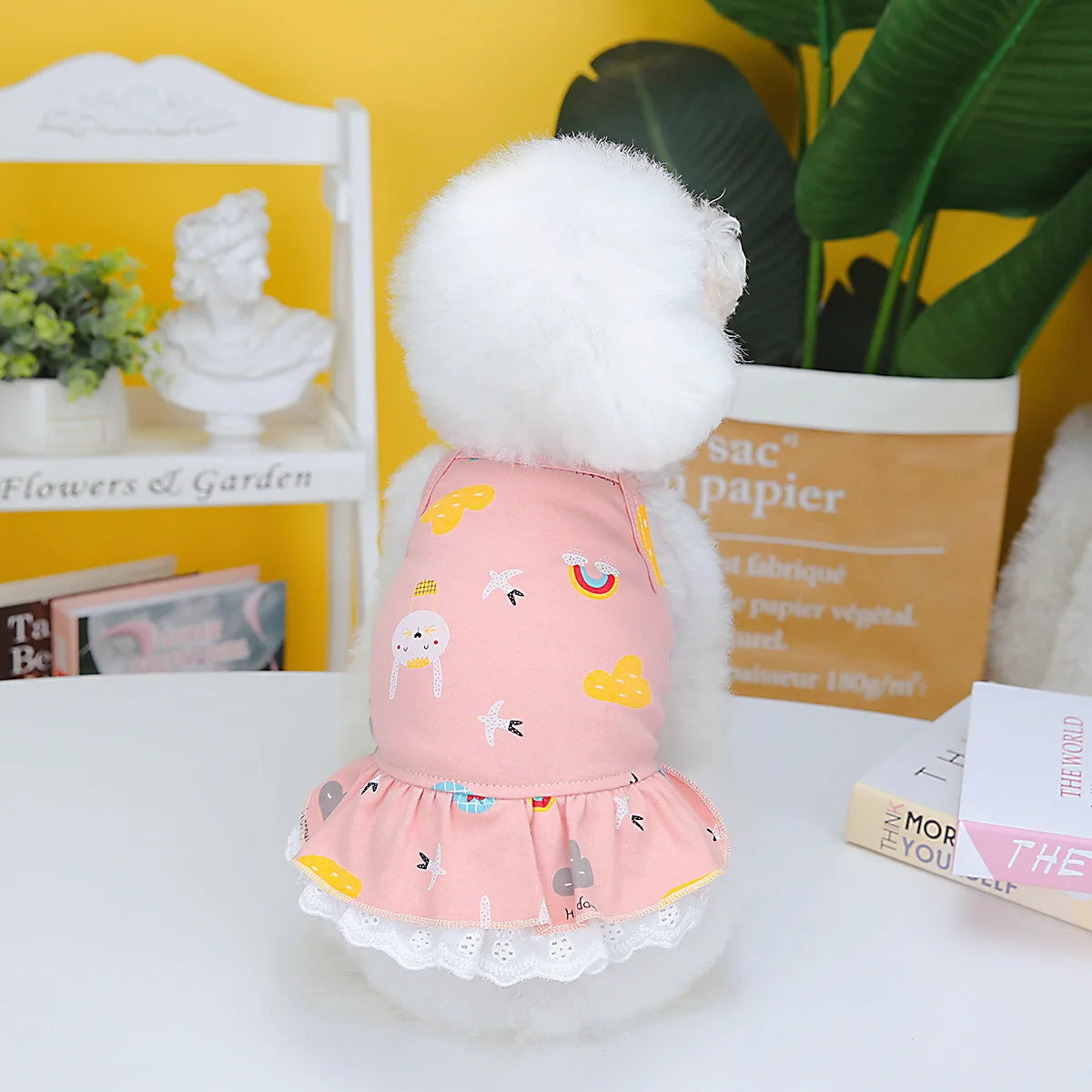 Charming Summer Dog Dress