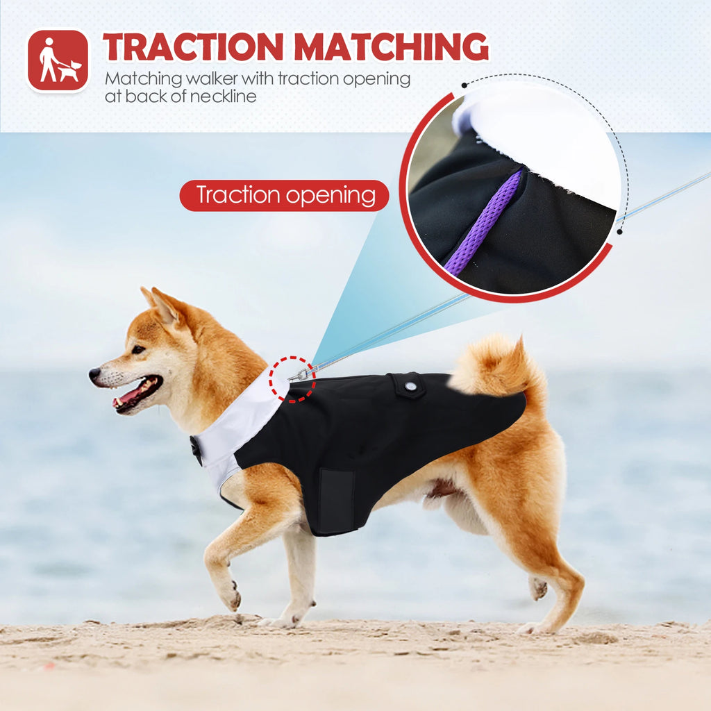 Charming Dog Tuxedo Suit