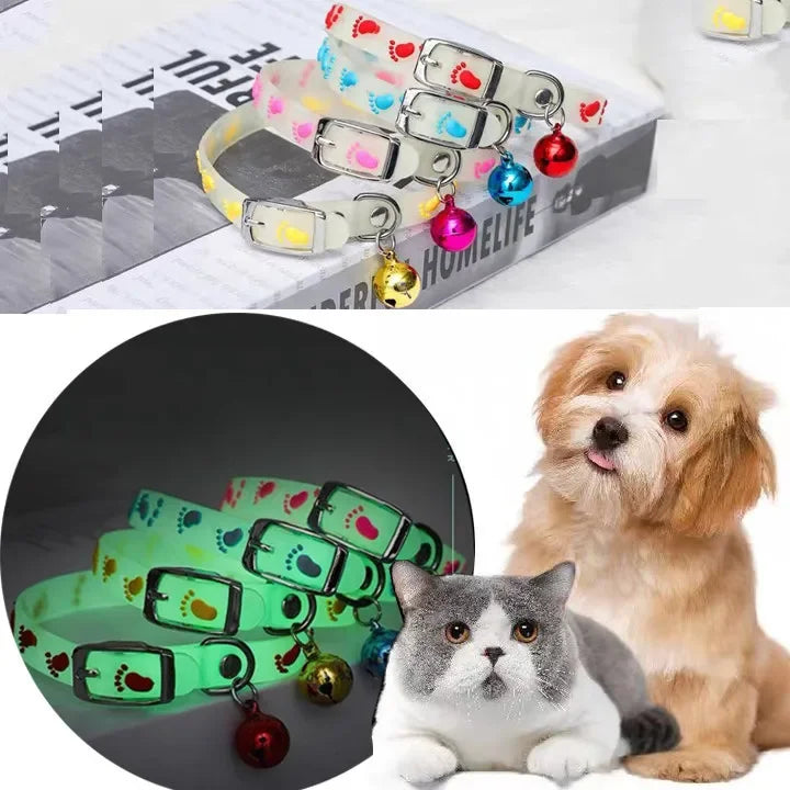 Luminous Pet Collar