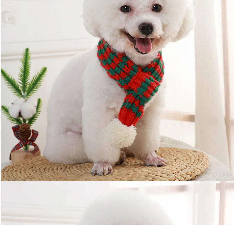 Cozy Winter Pet Scarf