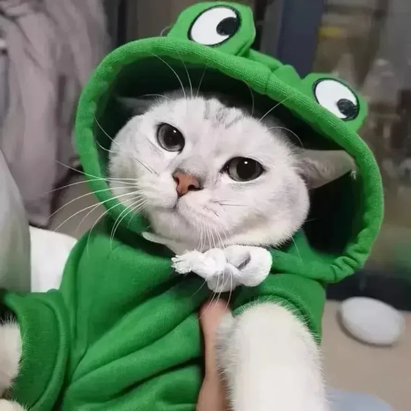 Adorable Frog Hoodie for Pets