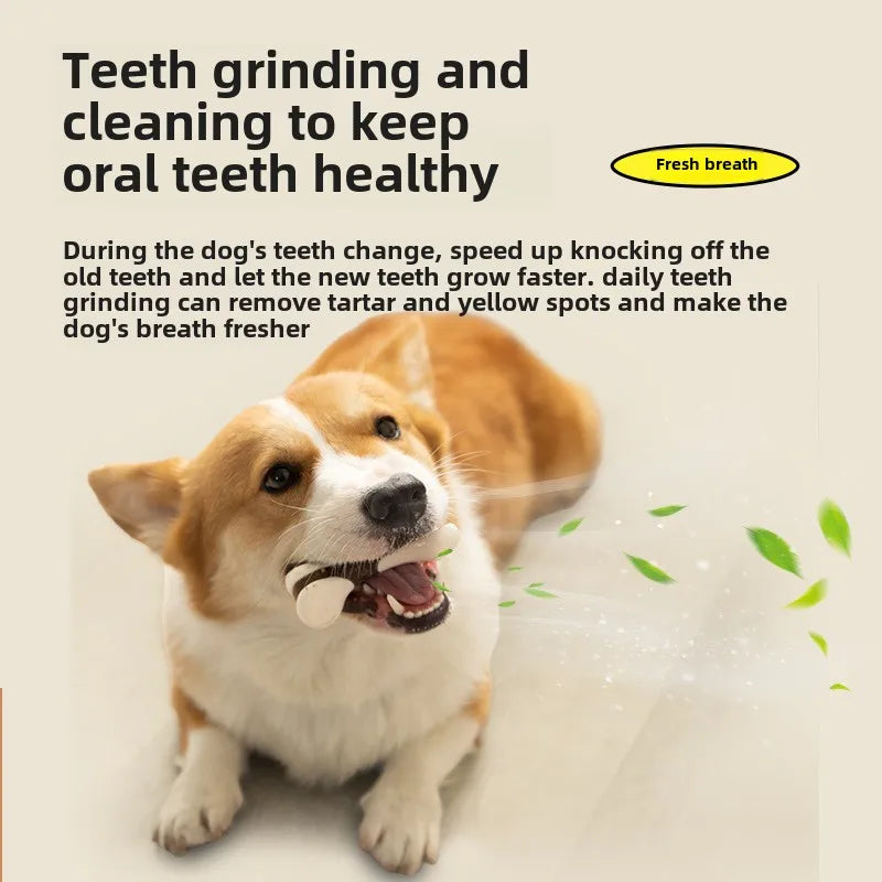 Durable Chew Stick Toy