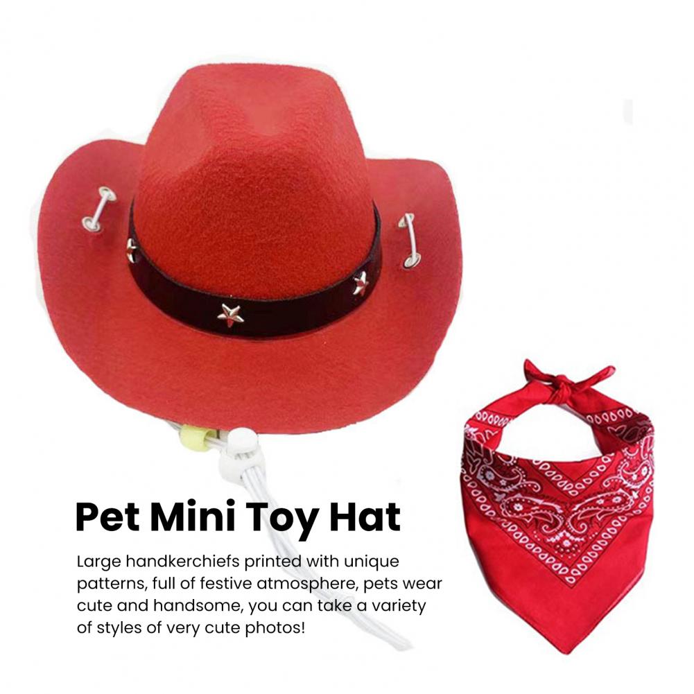 Cowboy Costume for Pets