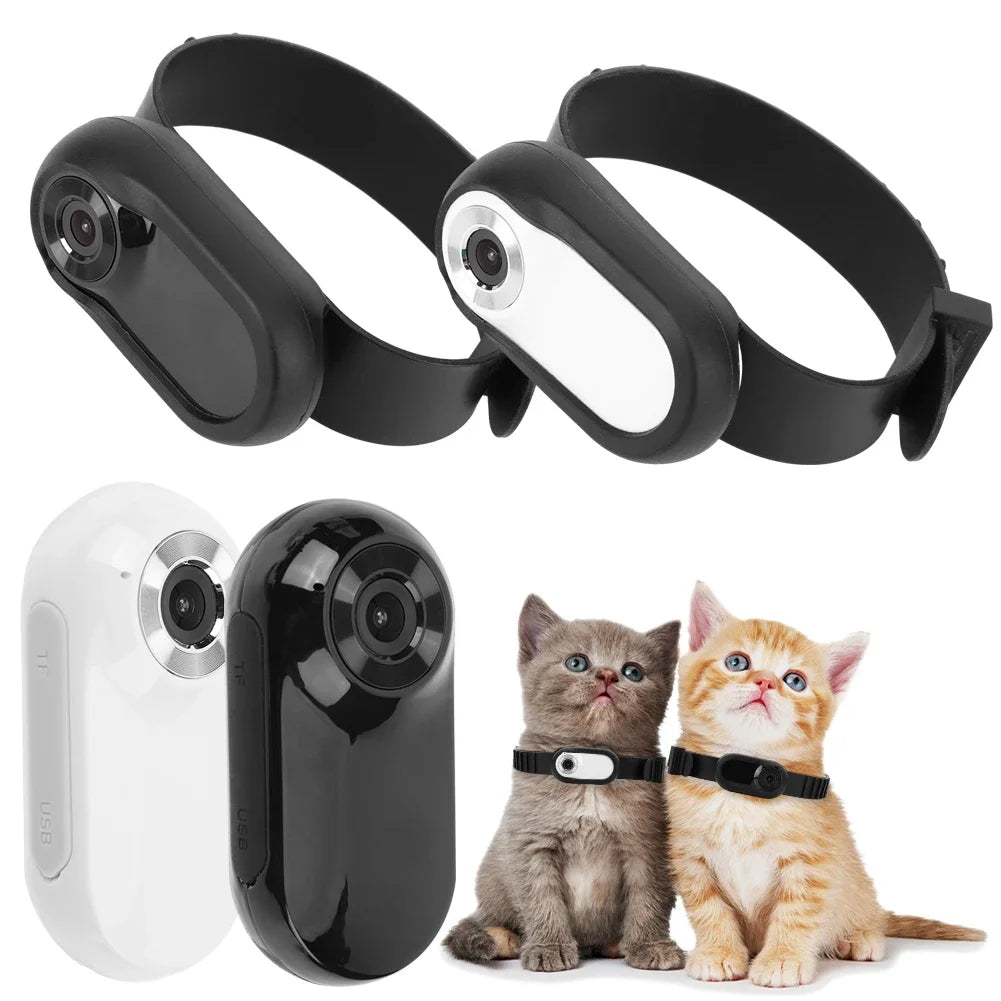 Pet Camera Collar for Adventure