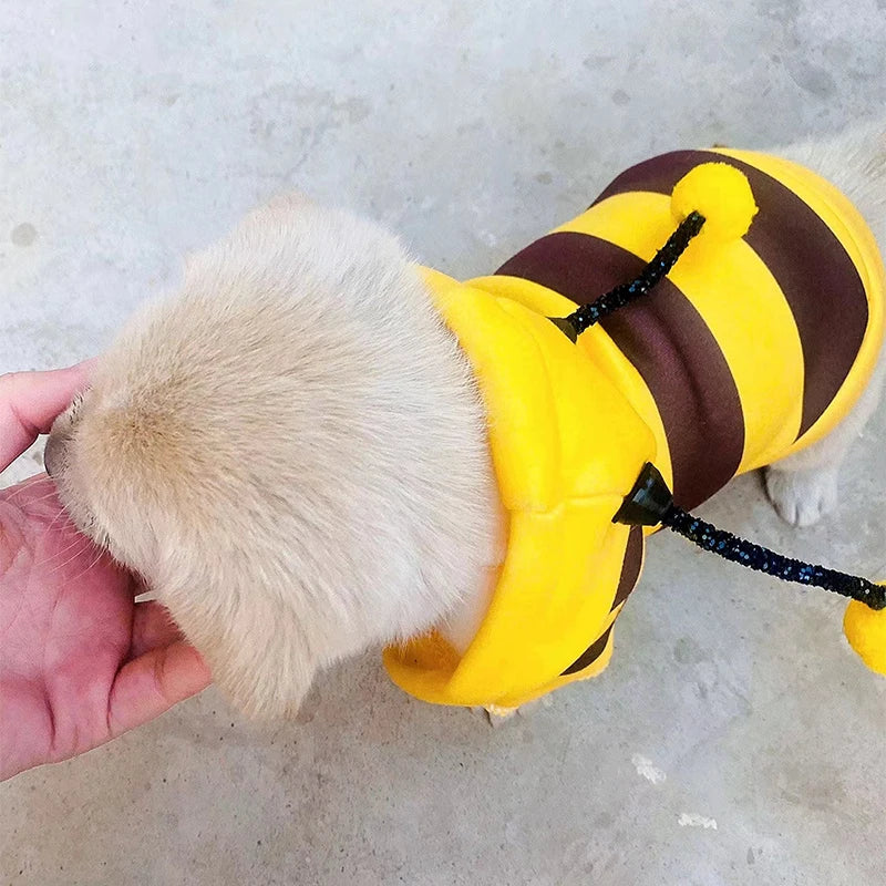 Cute Cozy Bee Dog Hoodie