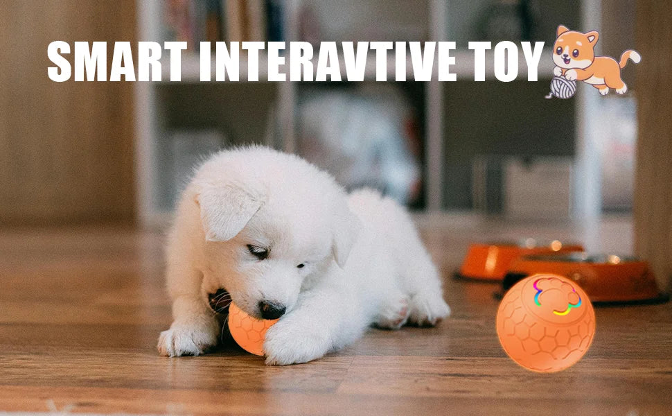 Interactive LED Dog Toy Ball