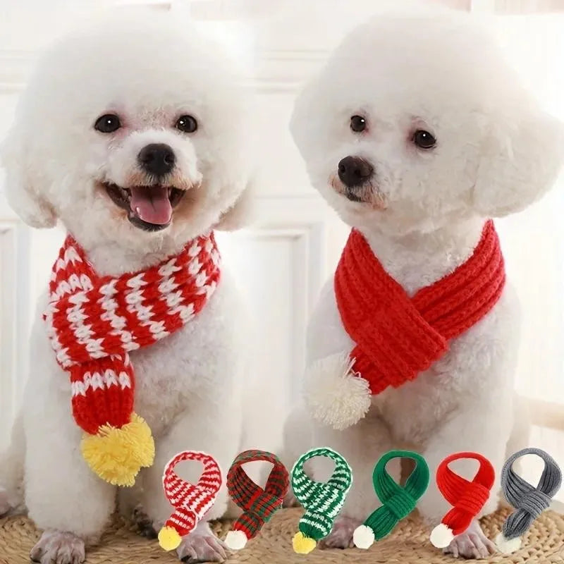 Cozy Winter Pet Scarf