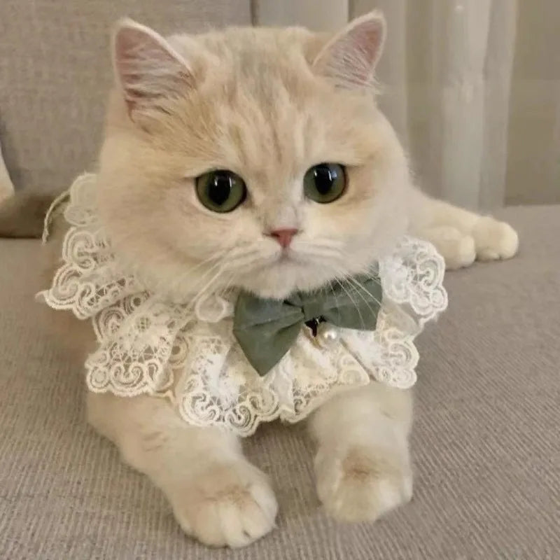 Elegant Lace Ruffle Pet Collar