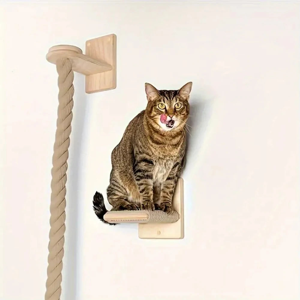 Wall-Mounted Cat Climbing Rack
