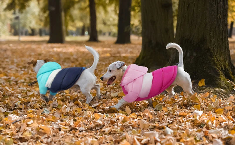 Cozy Waterproof Dog Winter Jacket