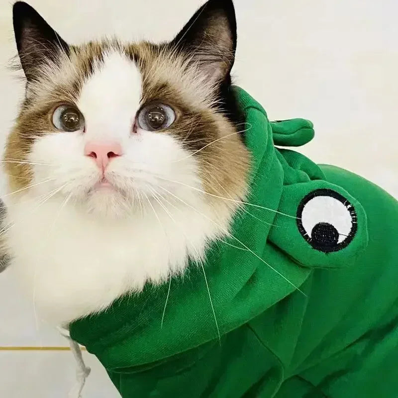 Adorable Frog Hoodie for Pets