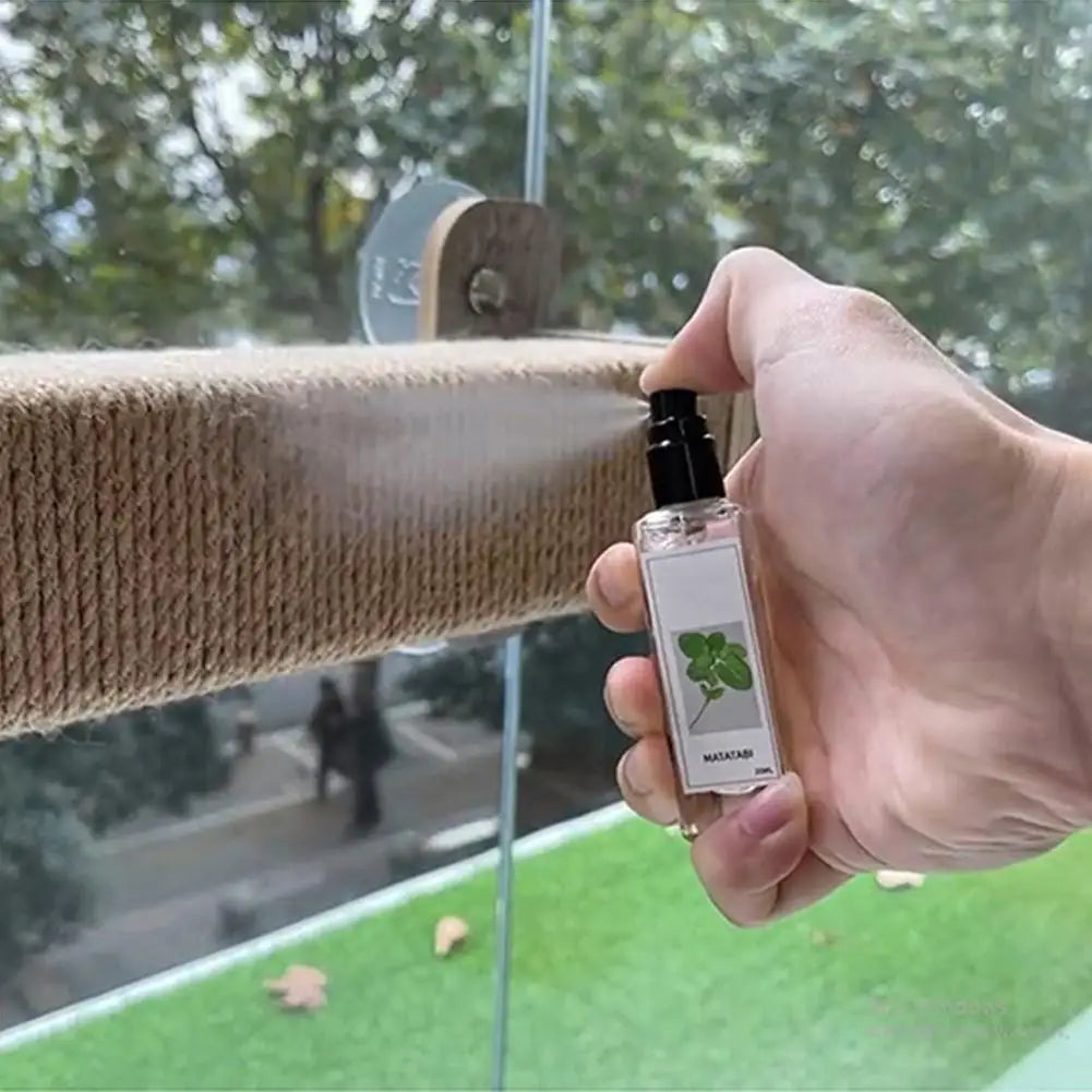 Calming Cat Mint Spray