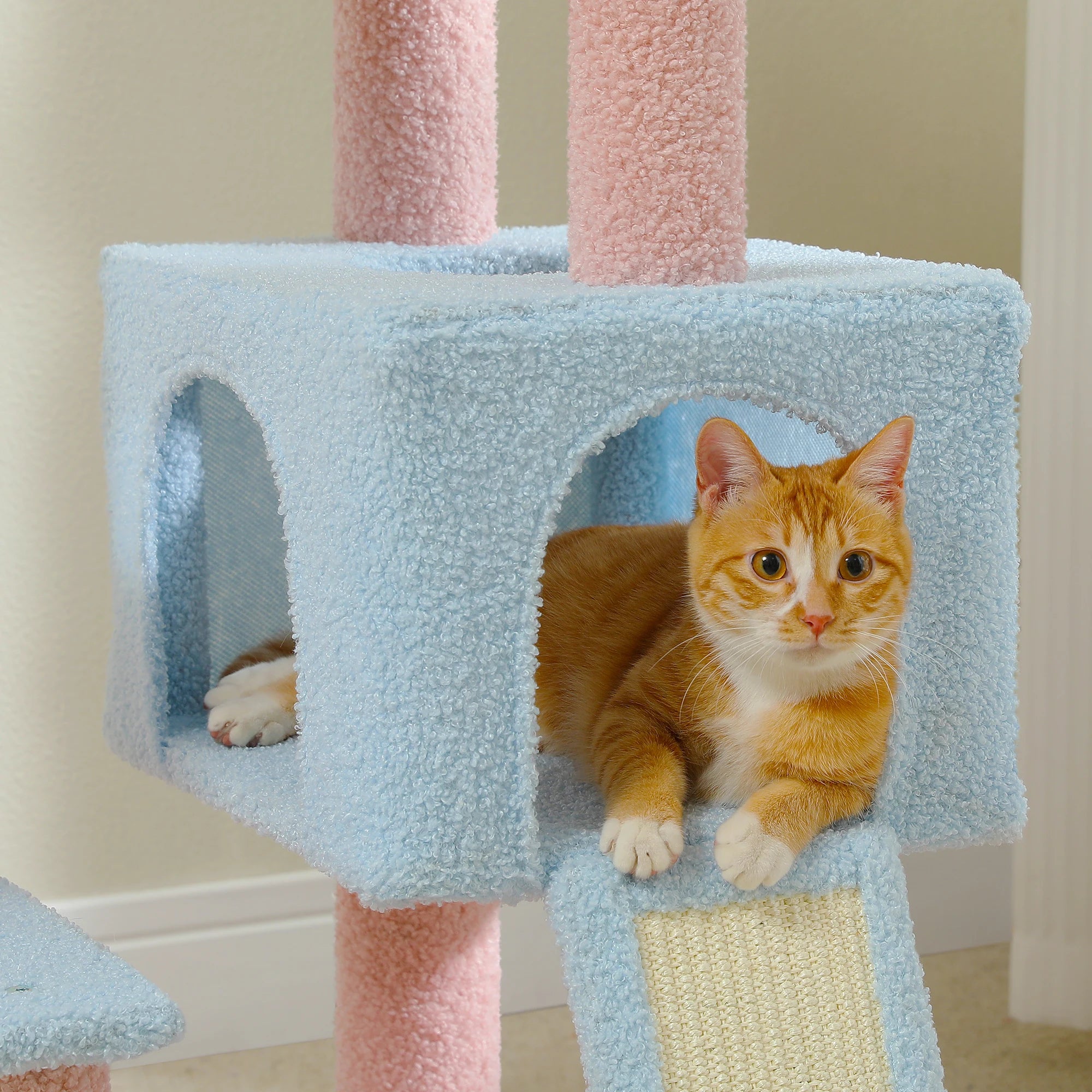 Cute Multi-Level Cat Tree