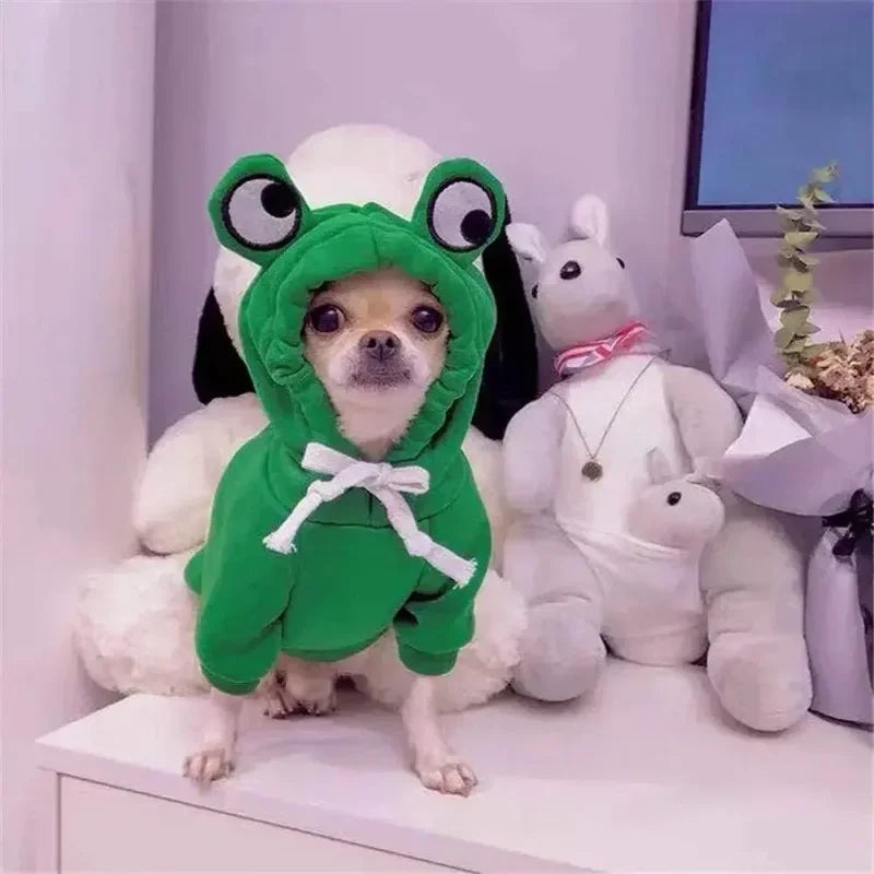 Adorable Frog Hoodie for Pets