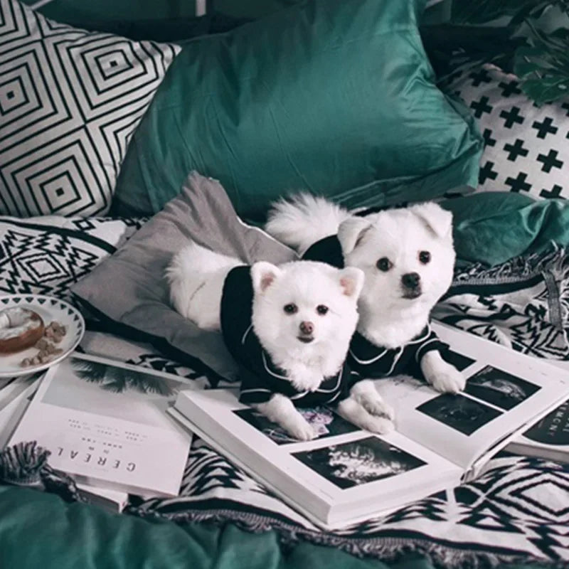 Cozy Summer Dog Pajamas
