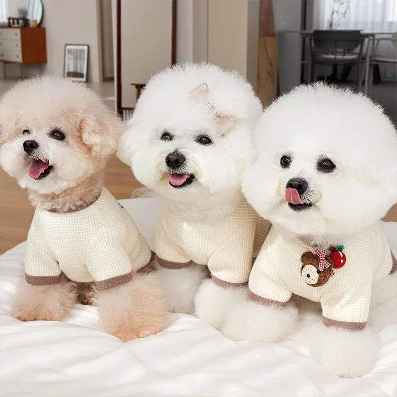 Adorable Pet Couple Outfits