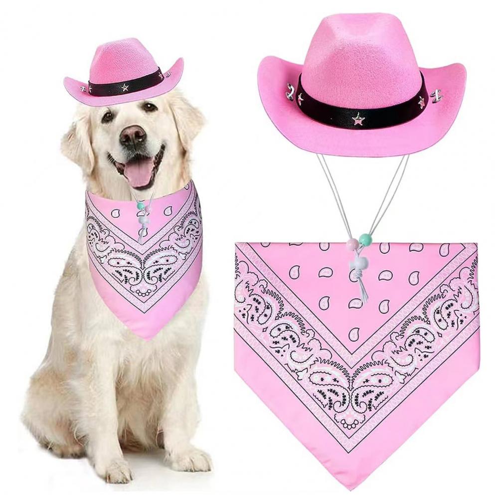 Cowboy Costume for Pets
