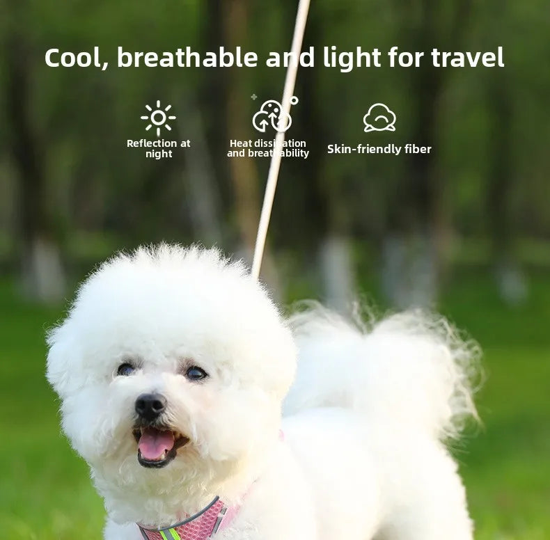 Versatile Dog Harness for All Breeds