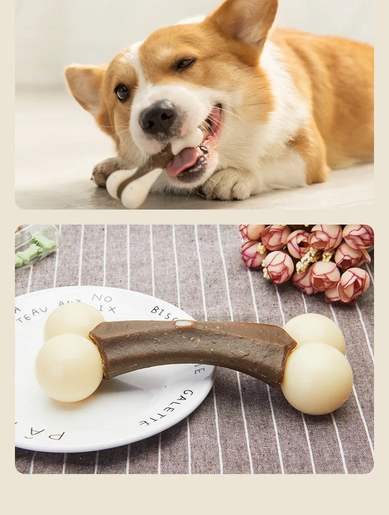Durable Chew Stick Toy