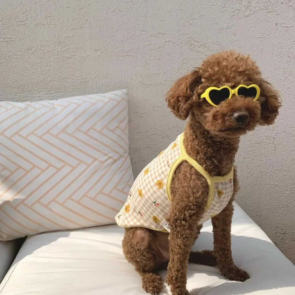 Trendy Pet Sunglasses