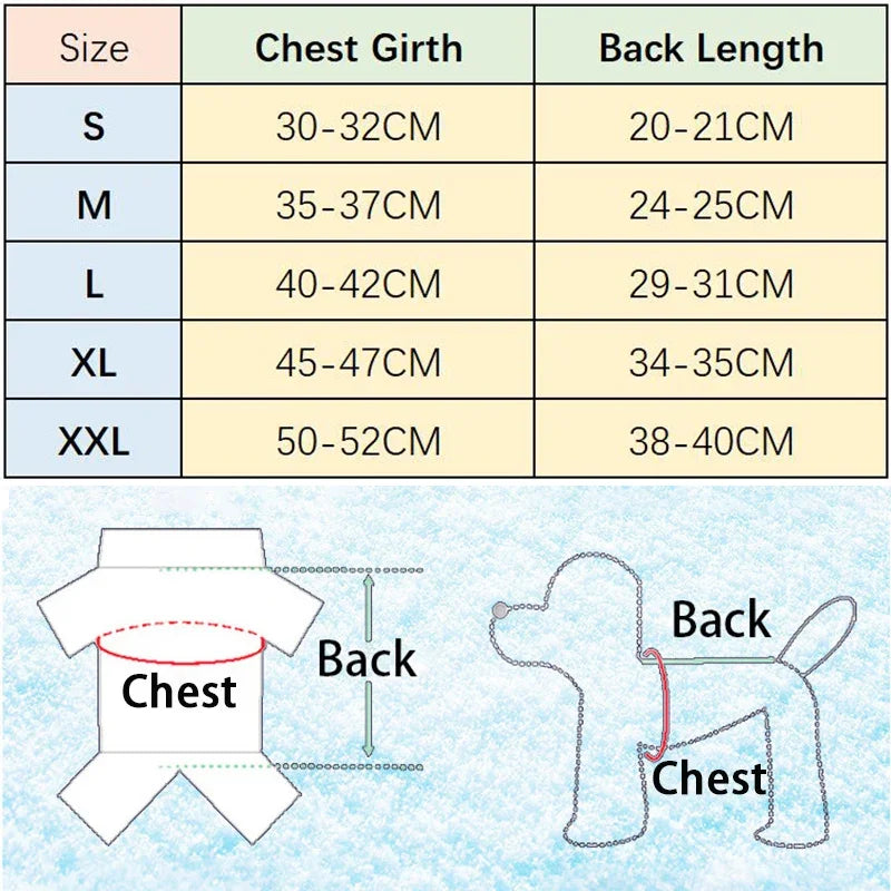 Adorable Pet Couple Outfits