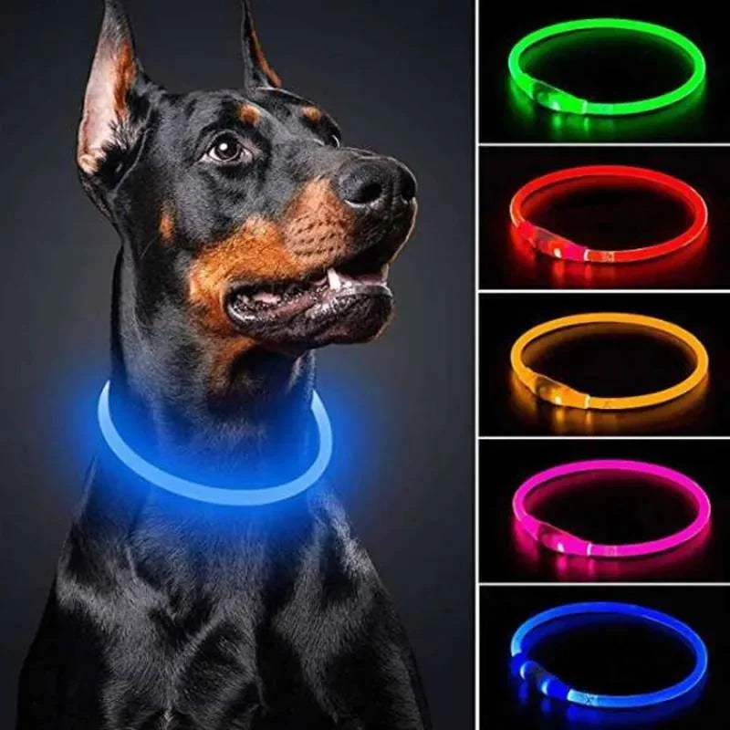 Glow in the Dark Dog Collar