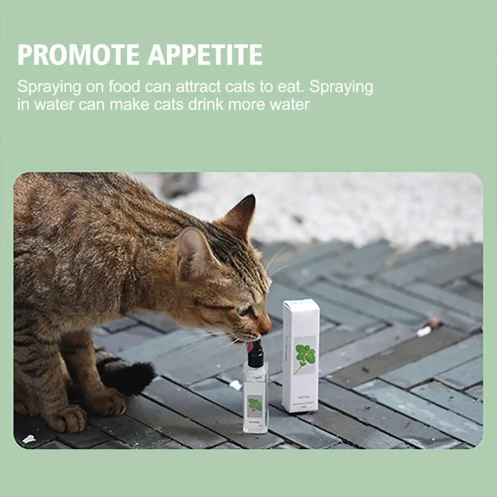 Calming Cat Mint Spray