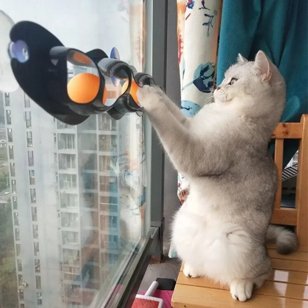 Fun Window Cat Track Toy